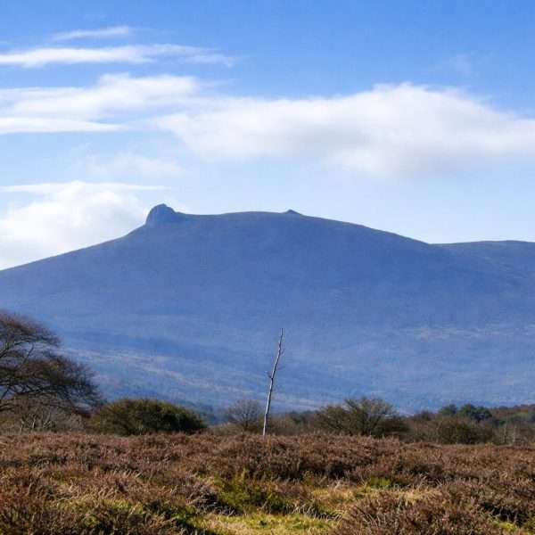 Clachnaben hill walk near Banchory