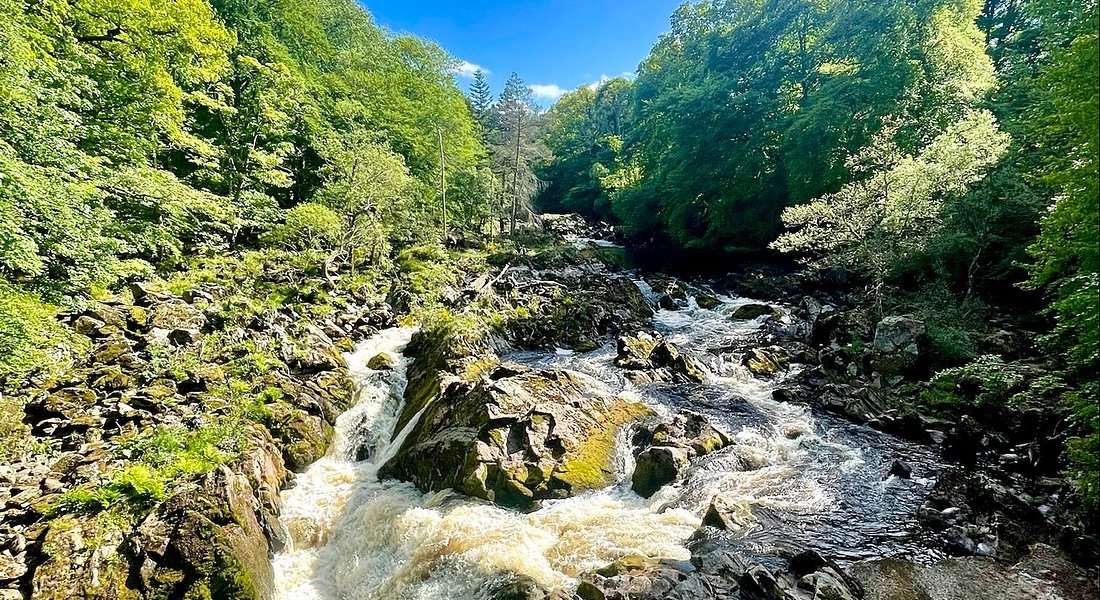 Falls of Feugh