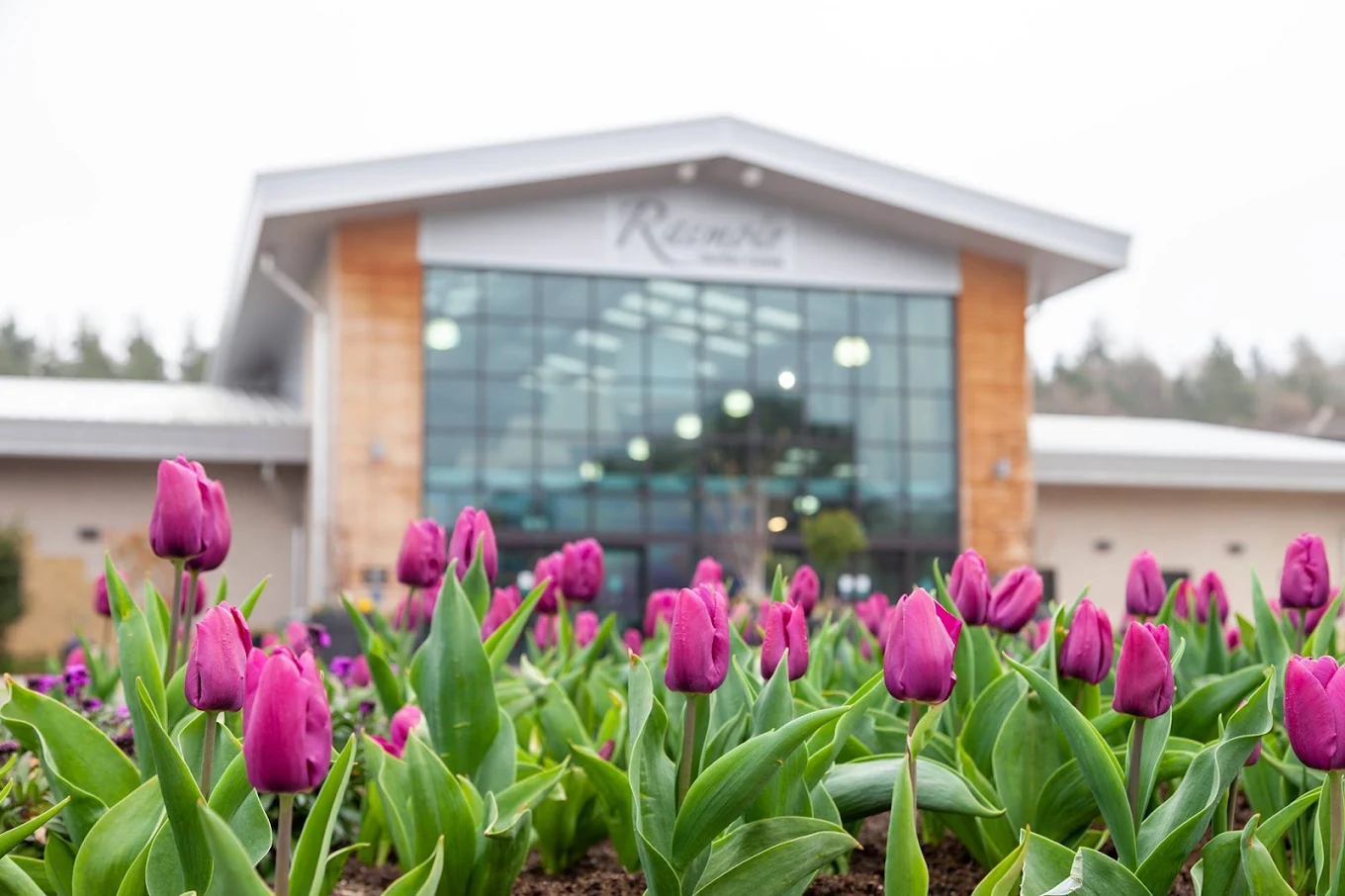 Raemoir Garden Centre