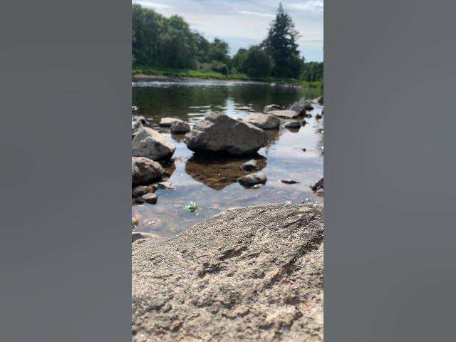 A Peaceful Afternoon by The River Dee - Discover Banchory