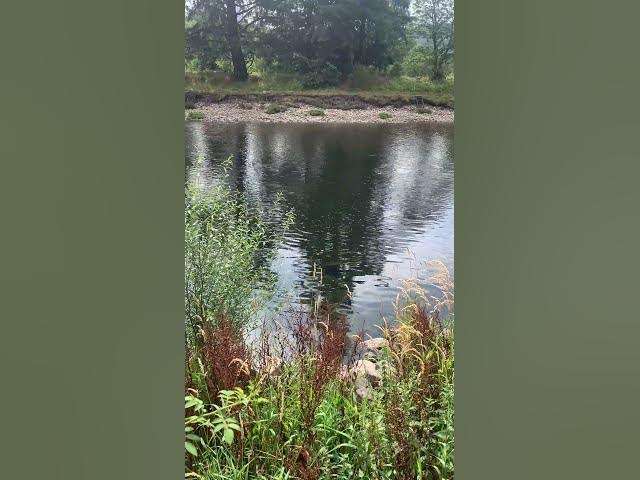 A Quiet Morning by The River Dee - Discover Banchory