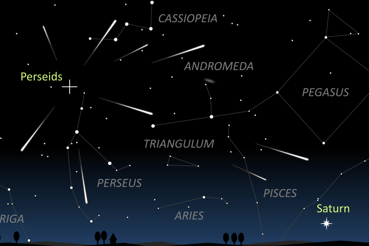 Perseids - Discover Banchory